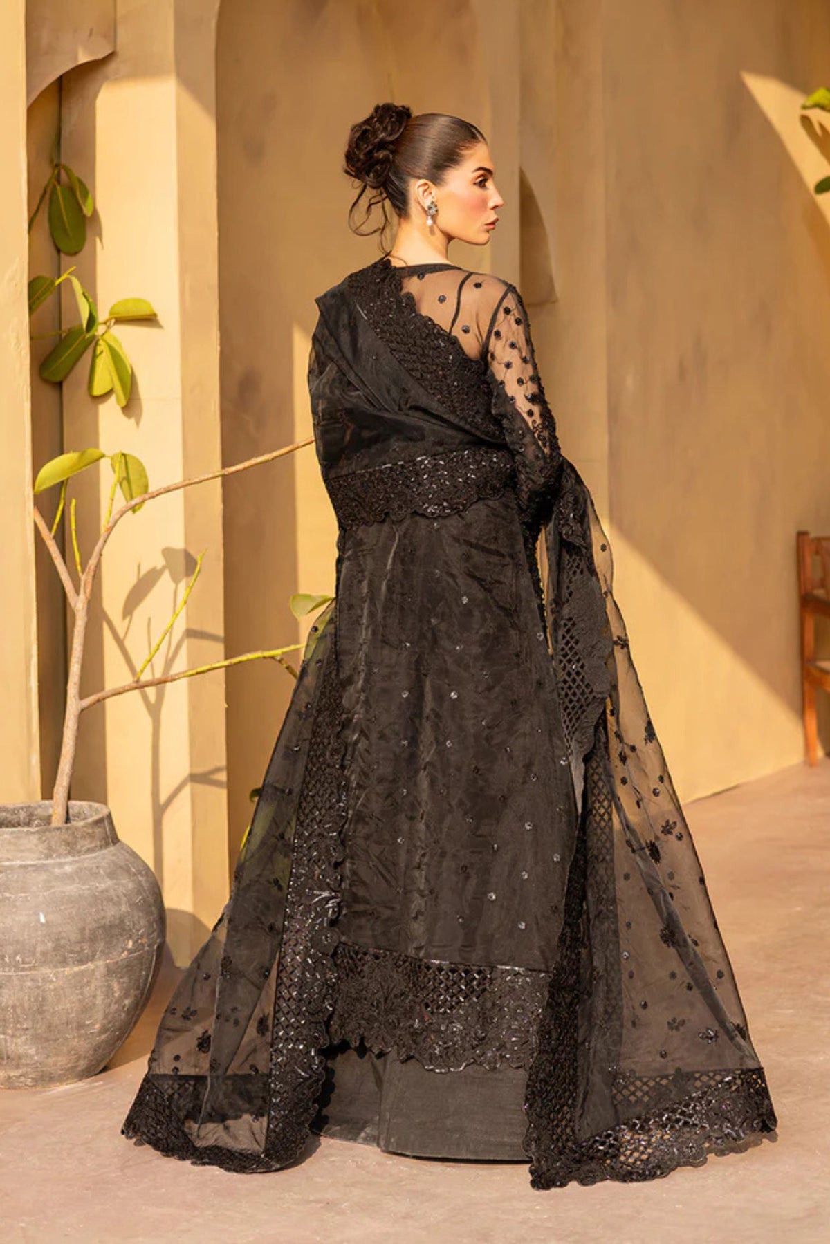 elegant pakistani dresses