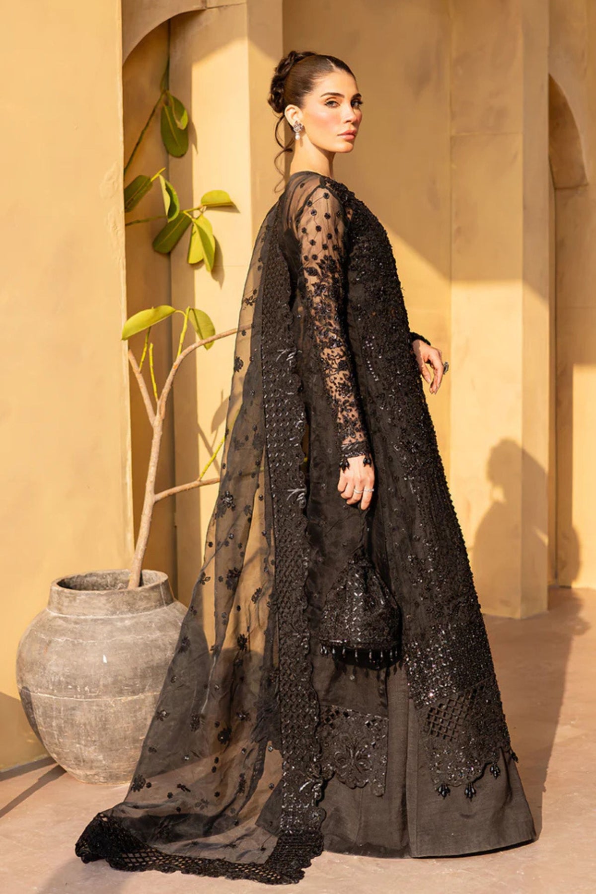 elegant pakistani dresses