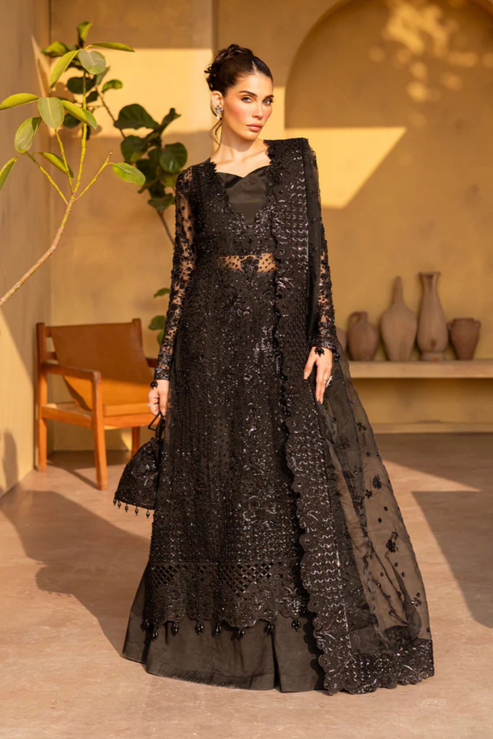 elegant pakistani dresses