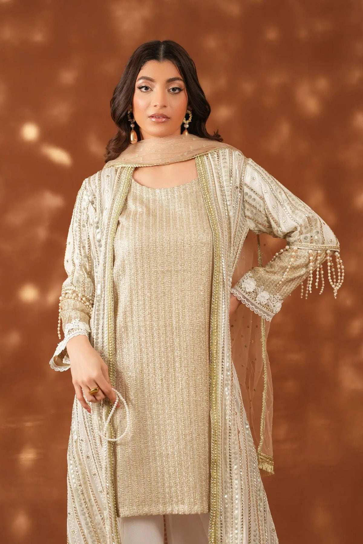 Bangladeshi Chiffon Reception Dress Sunnybank