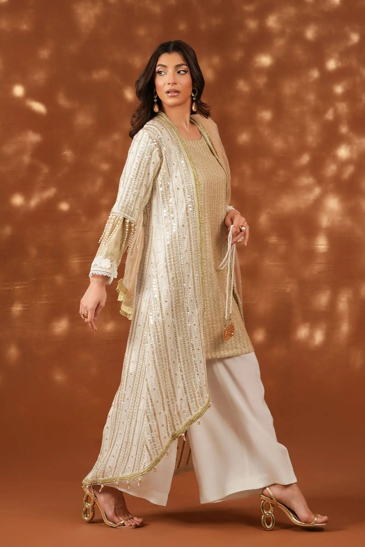 Bangladeshi Chiffon Reception Dress Sunnybank