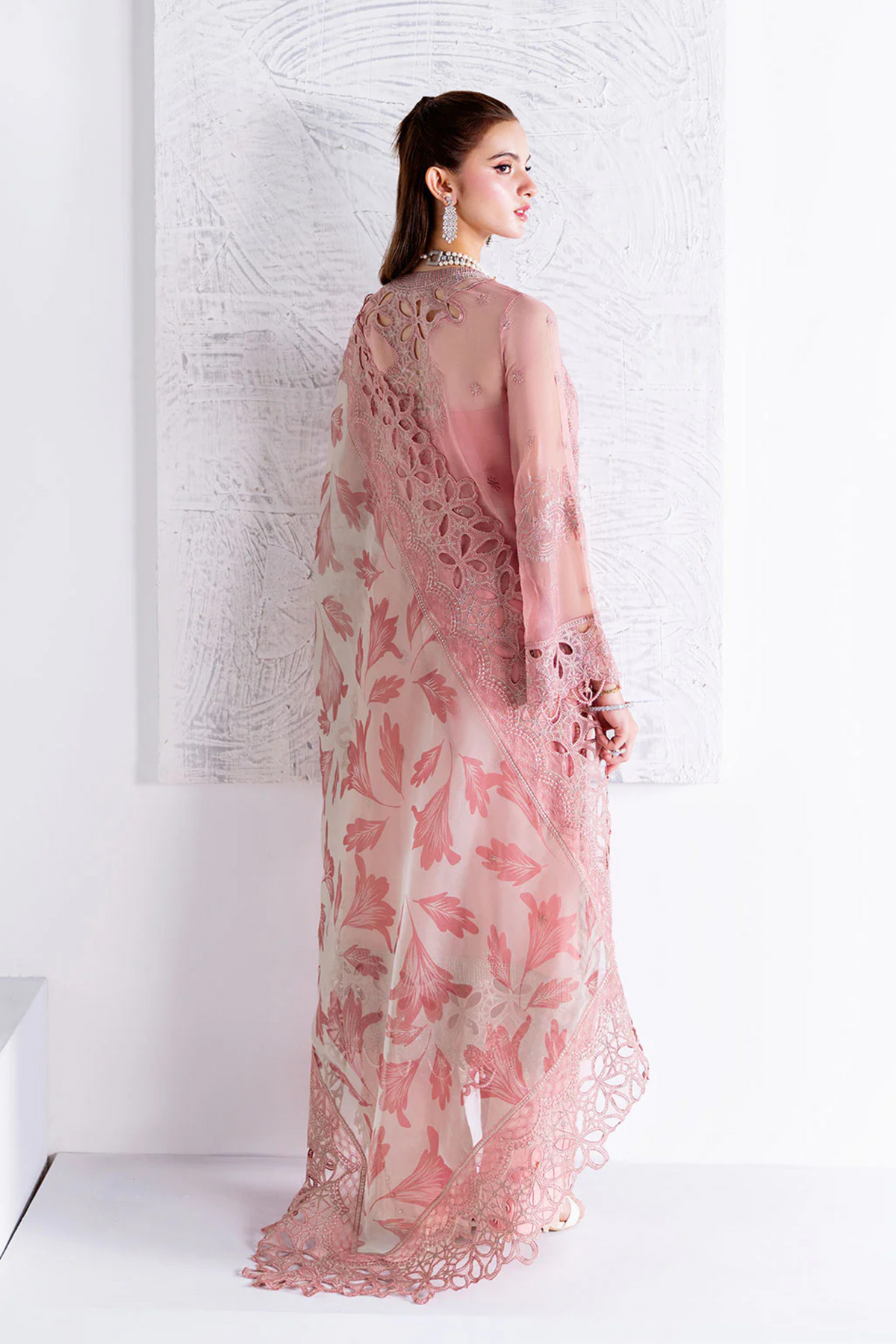 Guest Outfits To Attend Pakistani Wedding