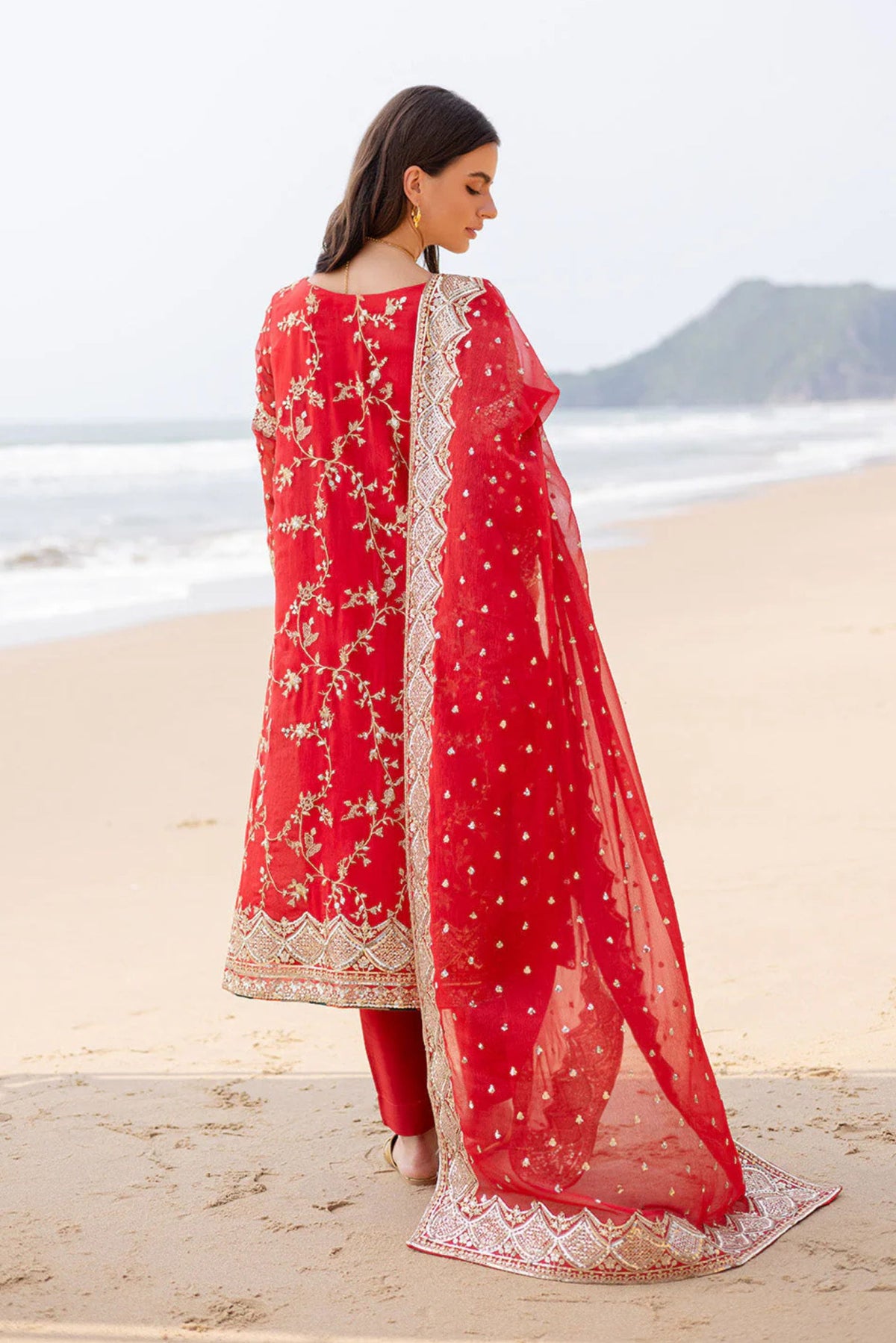 Traditional Pakistani Suit For Wedding Functionc